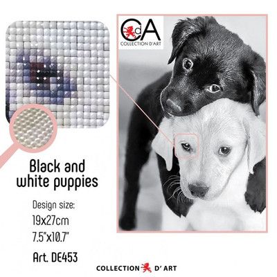 Collection D`art - Диамантен гоблен - Черно и бяло кученца