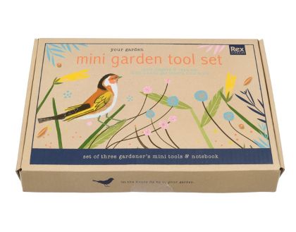 Rex London - Малък градинарски комплект с инструменти 