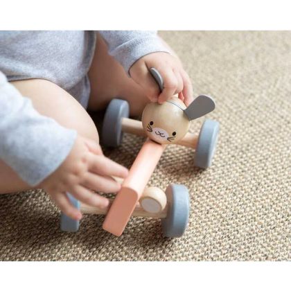 Дървена играчка за бутане - Пиле в състезателна игра - PlanToys